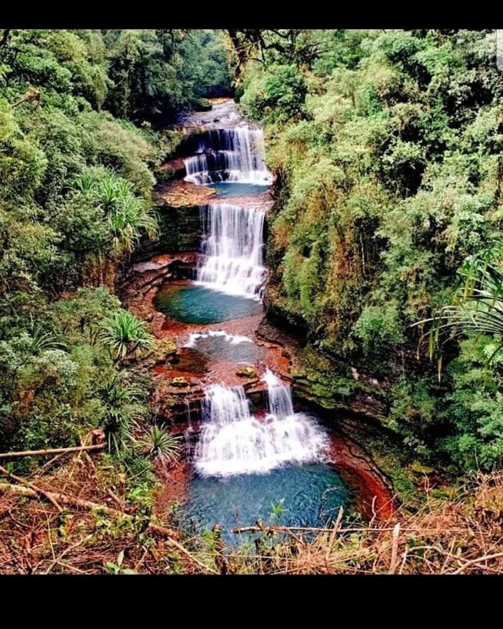 Goshen Homestay Cherrapunji Exteriör bild